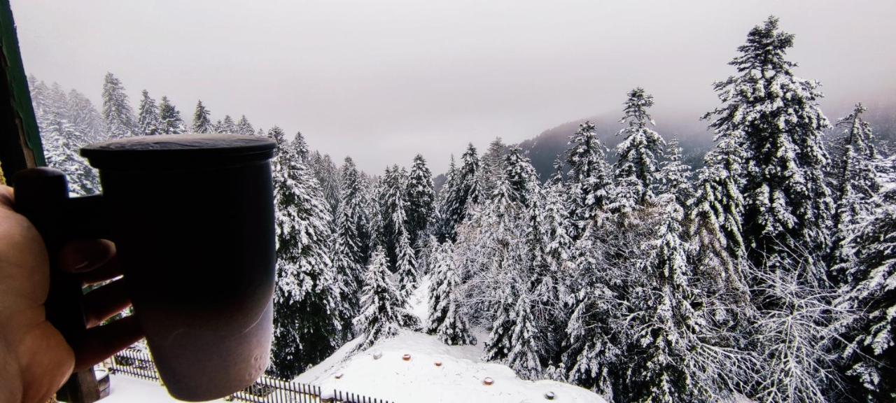 La Cabane De Marie La Bollène-Vésubie Exterior foto